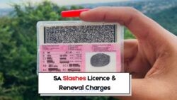 15 July: SA Government Announces Major Driving Licence Fee Reduction, Yet Many South Africans May Miss Out!
