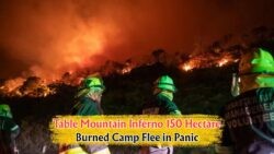 July Wildfire Ravages Table Mountain: 150 Hectares Scorched as Camps Face Urgent Evacuation