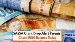 R510 Child Grant Payments Start This Week – Parents, Check Your SASSA Accounts Now!